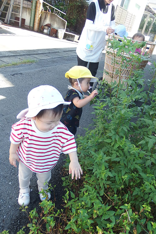 日常（あんよ組）