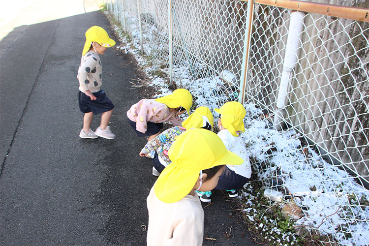 日常（わんぱく組）